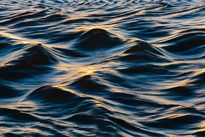 Dark ocean waves catching low golden light